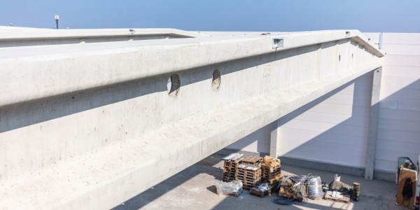 Diseño y Desarrollo de Proyectos Riner · Redacción y Desarrollo de Proyecto de Obra Civil